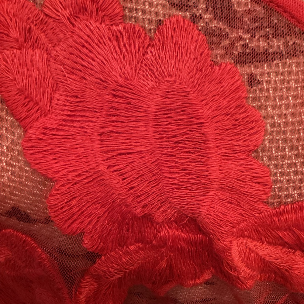 Band of the Free Lace Bodysuit - Picture 7 of 7